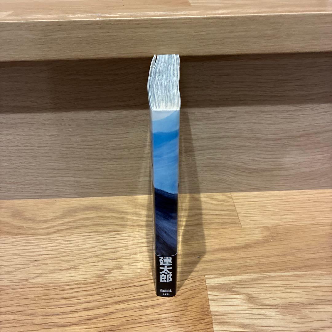 希少！ベルセルク 34巻初版　ヤングアニマル限定特別付録 34巻 ブックカバー