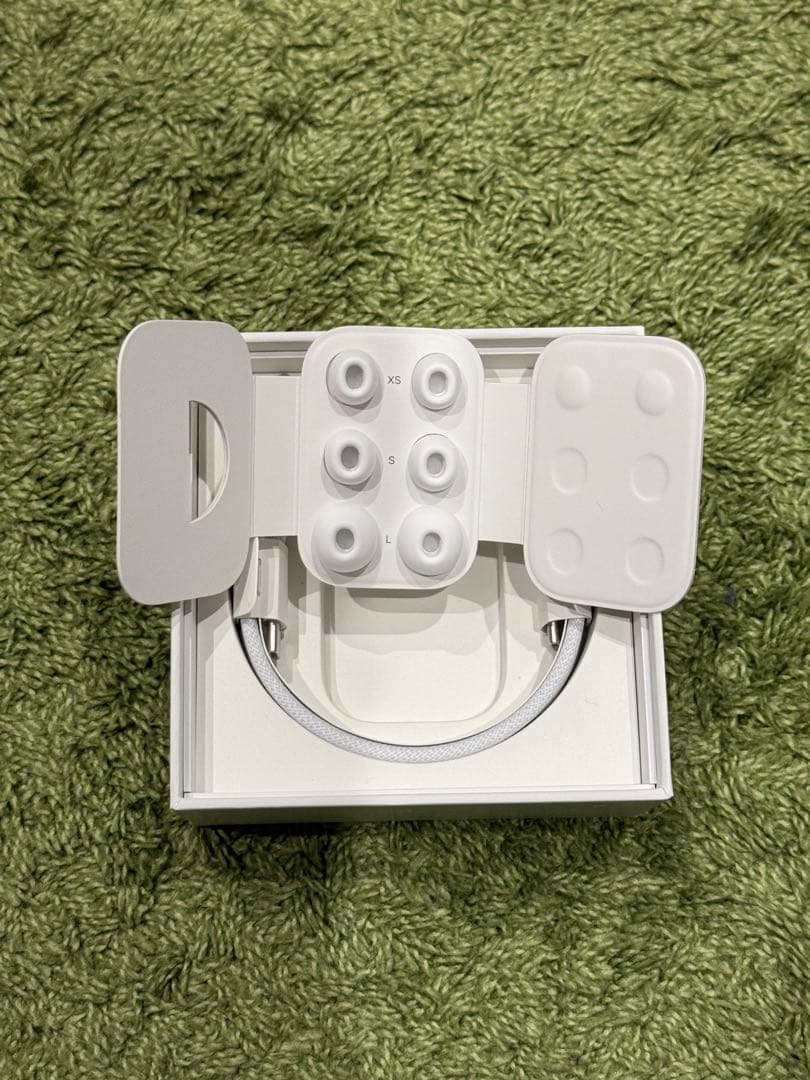 AirPods本体 充電ケース 交換用イヤーチップ付