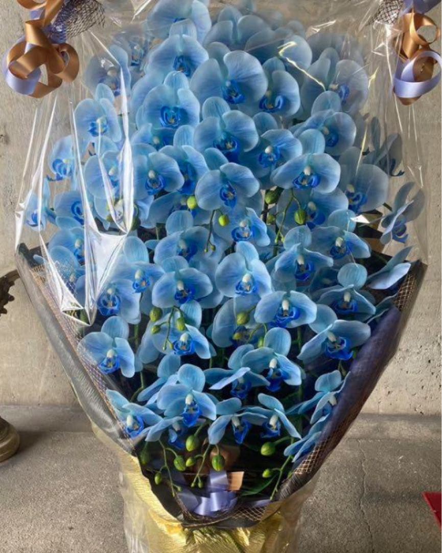 光触媒　人工観葉植物　ウォールグリーン　フェイクグリーン　リアル胡蝶蘭１０本't