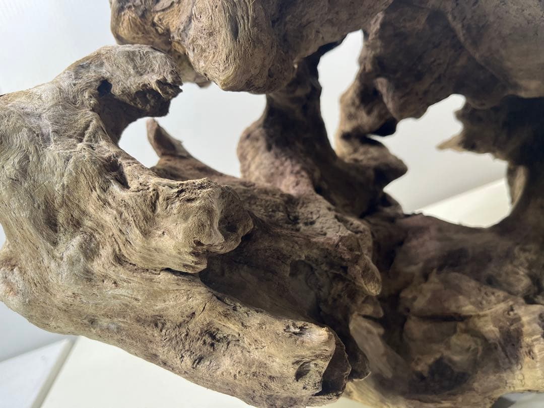 W30大型流木アク抜き済み流木 爬虫類シェルター 登り木 インテリア 生け花