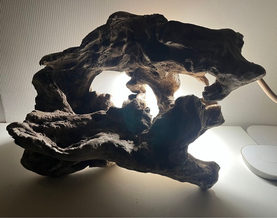 W30大型流木アク抜き済み流木 爬虫類シェルター 登り木 インテリア 生け花