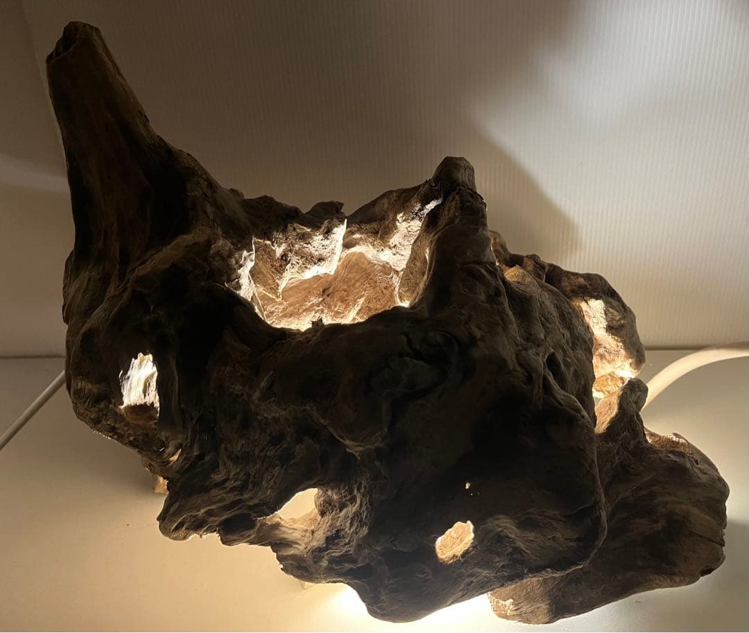 W30大型流木アク抜き済み流木 爬虫類シェルター 登り木 インテリア 生け花