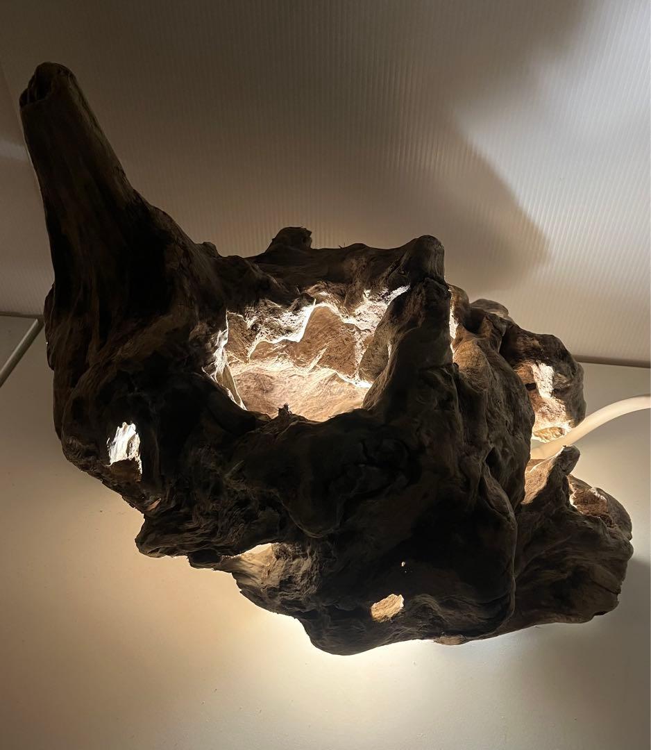 W30大型流木アク抜き済み流木 爬虫類シェルター 登り木 インテリア 生け花