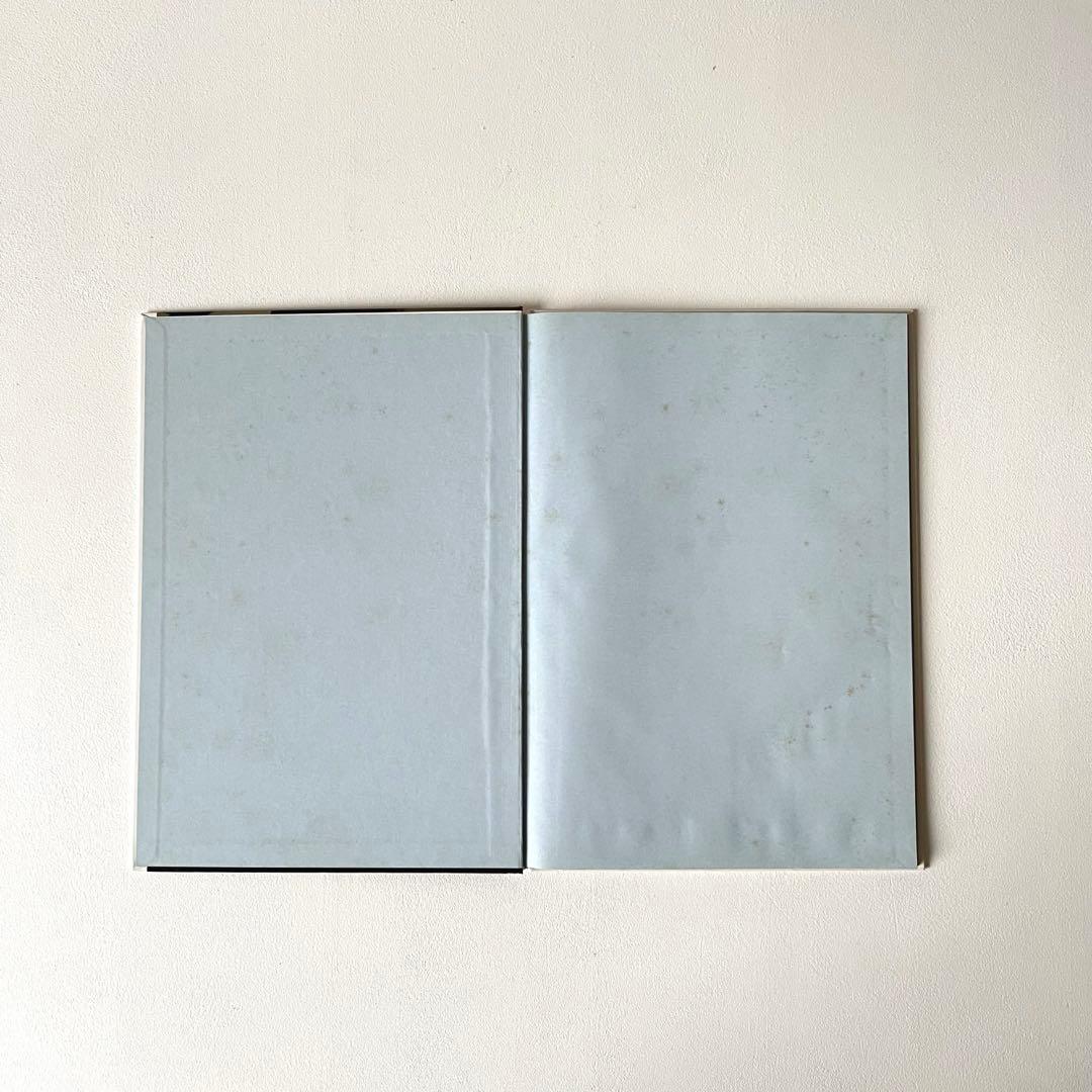 【希少】「Helene」 Elein Fleiss写真集 Rockin'on