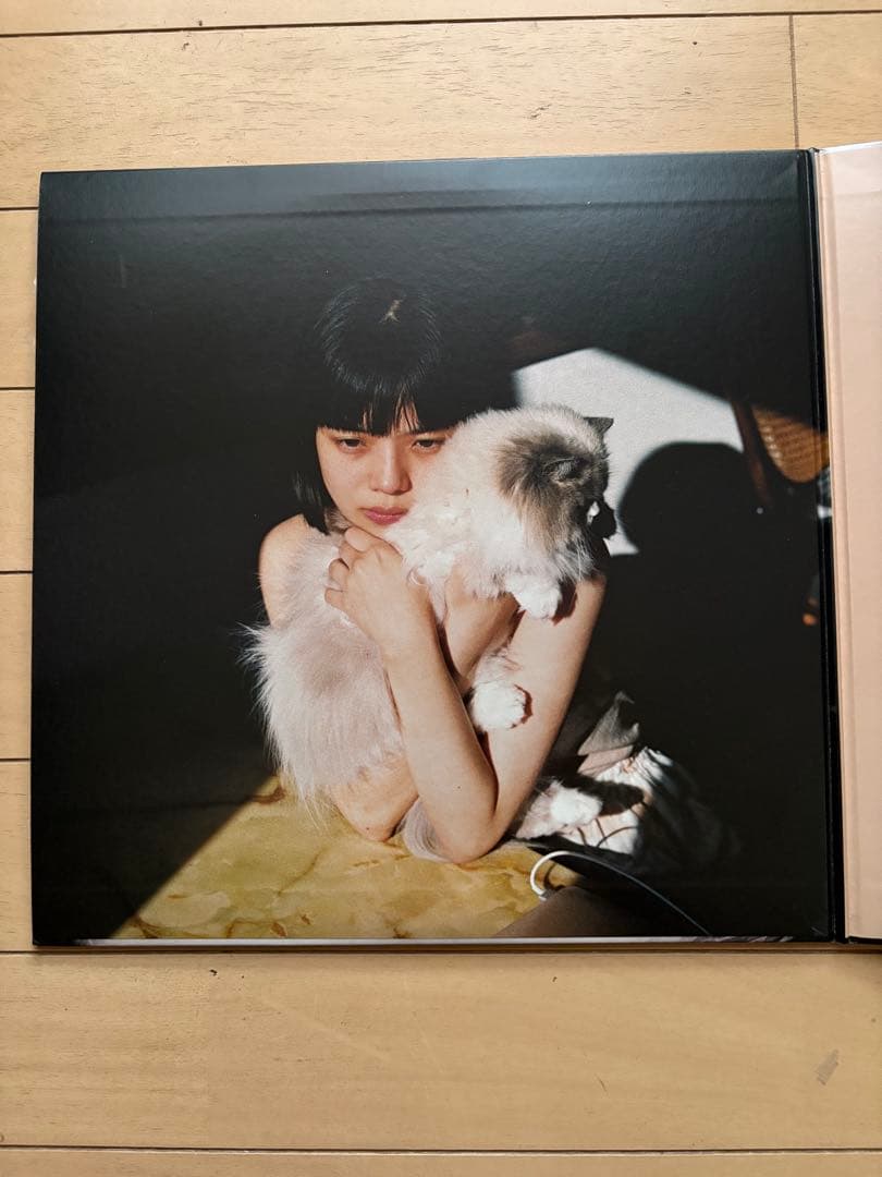 受注生産限定盤　レコード カネコアヤノ『燦々』LP（重量盤）
