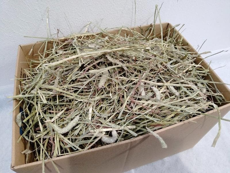 US産 チモシー 100kg ２番刈 ソフトスーパープレミアム