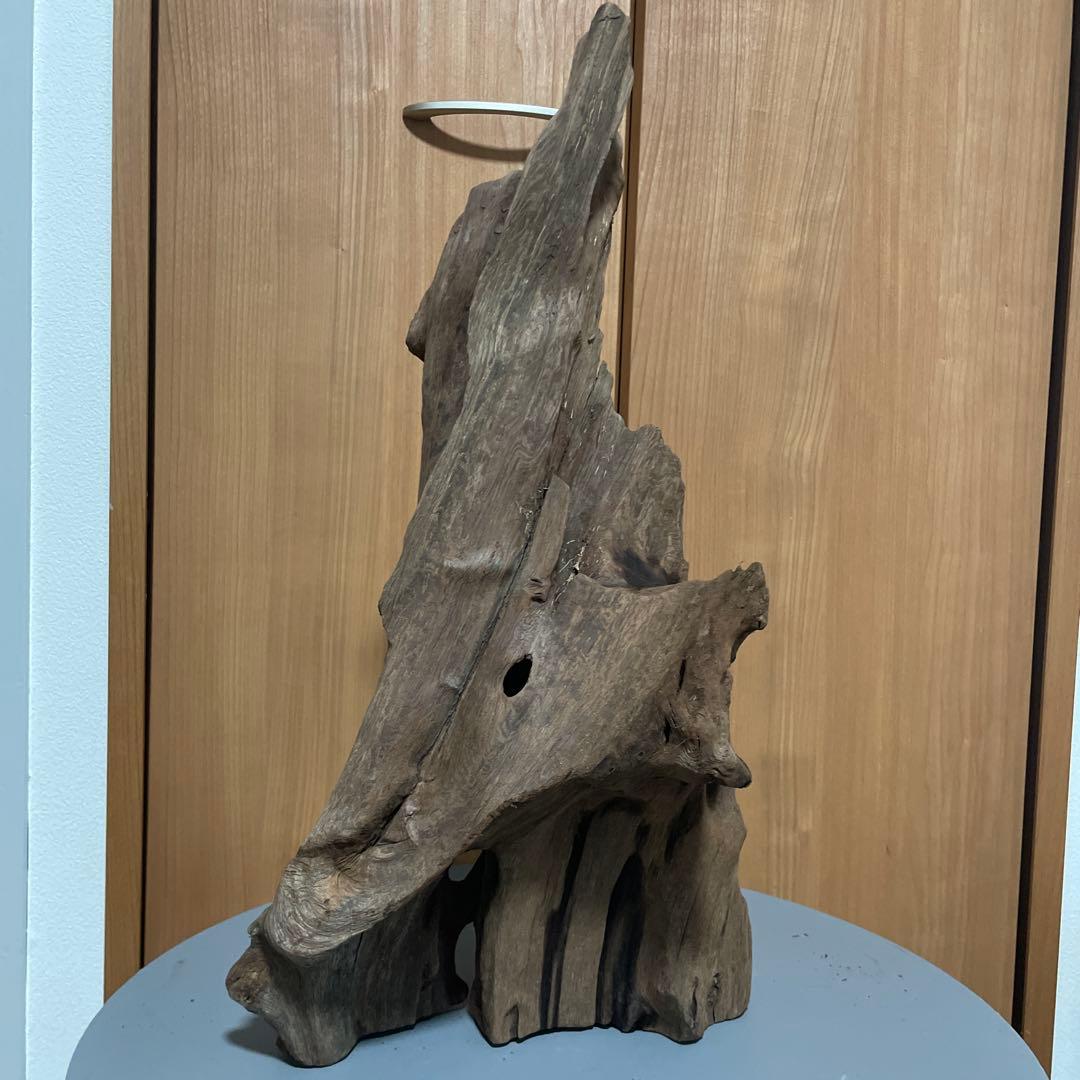 一点物 大型流木 沈水確認済み アク抜き済み［約50cm］アクアリウム・爬虫類用