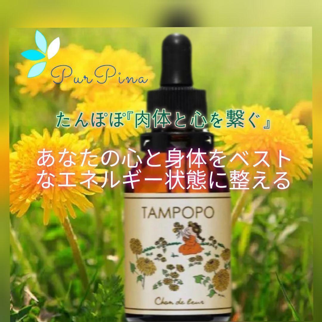 【専用】ファシネーション　 DTWフラワーエッセンス　他