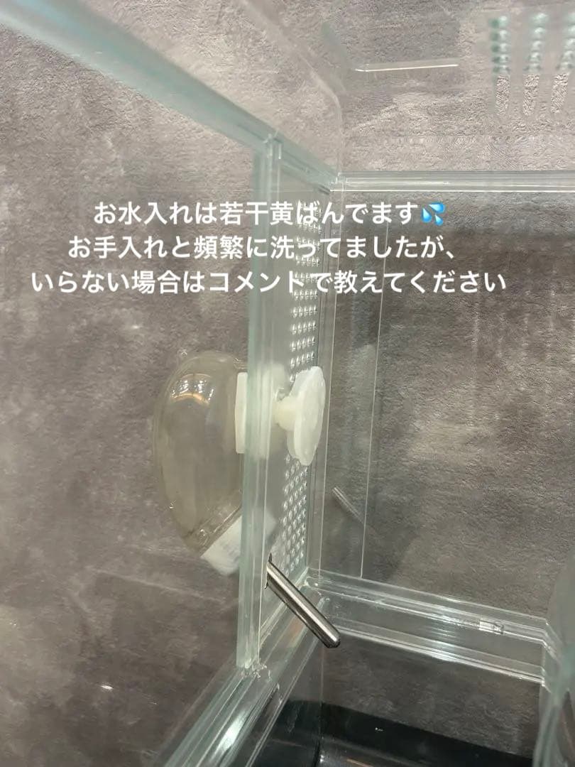 【総額2万円相当！ハムスター飼育セット】GEX グラスハーモニー・新品おやつ付き