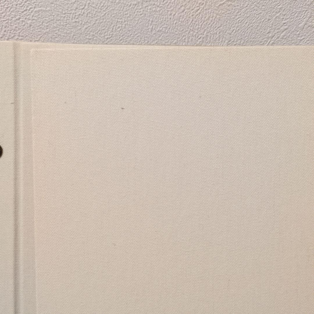 アルバス サンド アイボリー 4点セット リフィル付け足し済み ALBUS