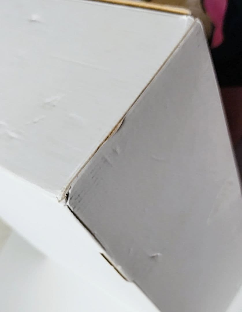 リディー＆スールのアトリエ20周年記念ボックス Nintendo Switch