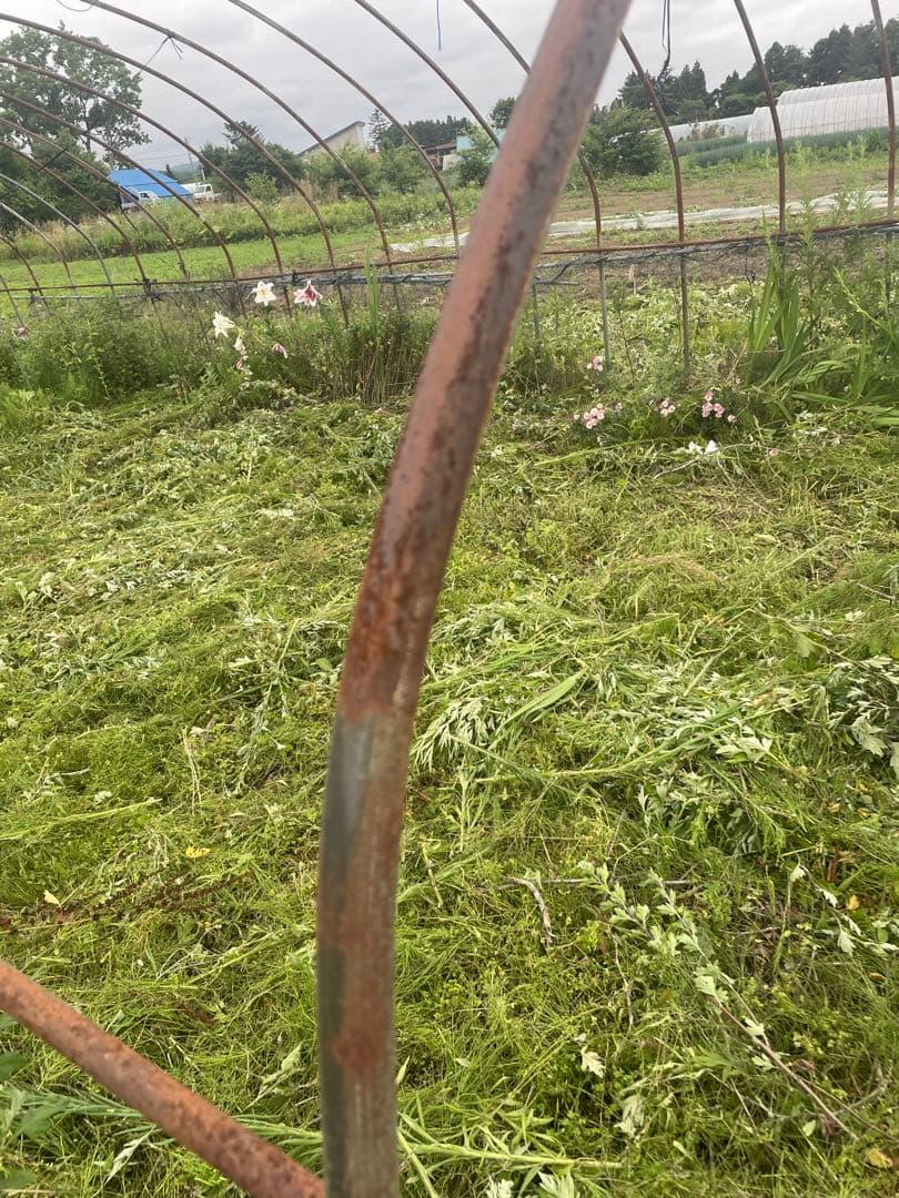 農業用ハウス骨材　タイプDビニールハウス用パイプ20m