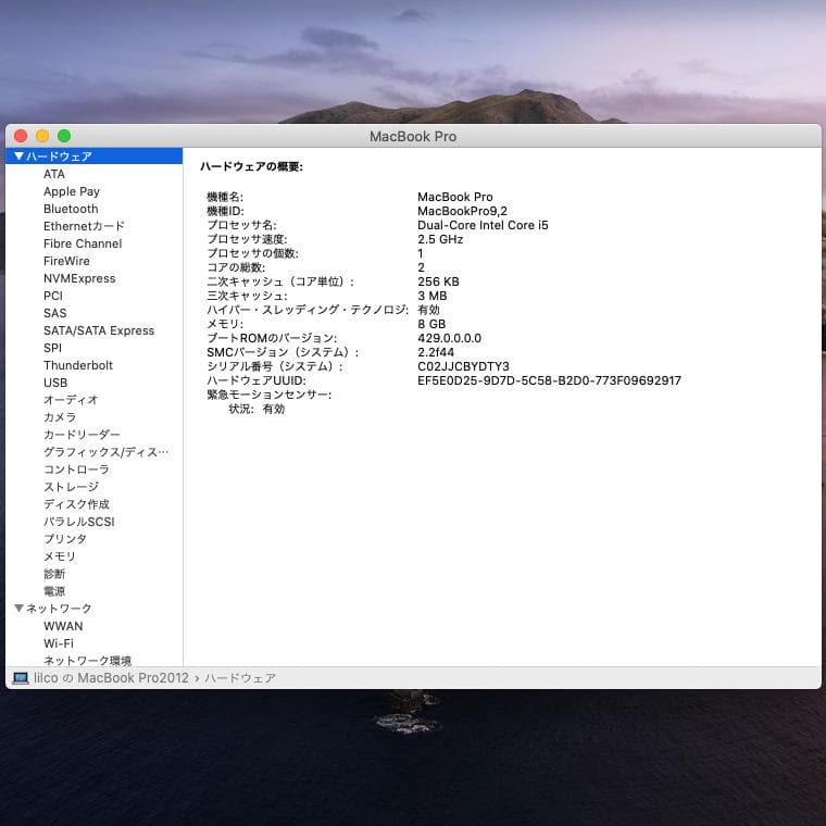 値下げ！　Apple MacBook Pro MD101J/A　SSD仕様