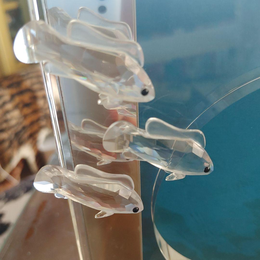 スワロフスキー社製　シーオブワンダー　クマノミ