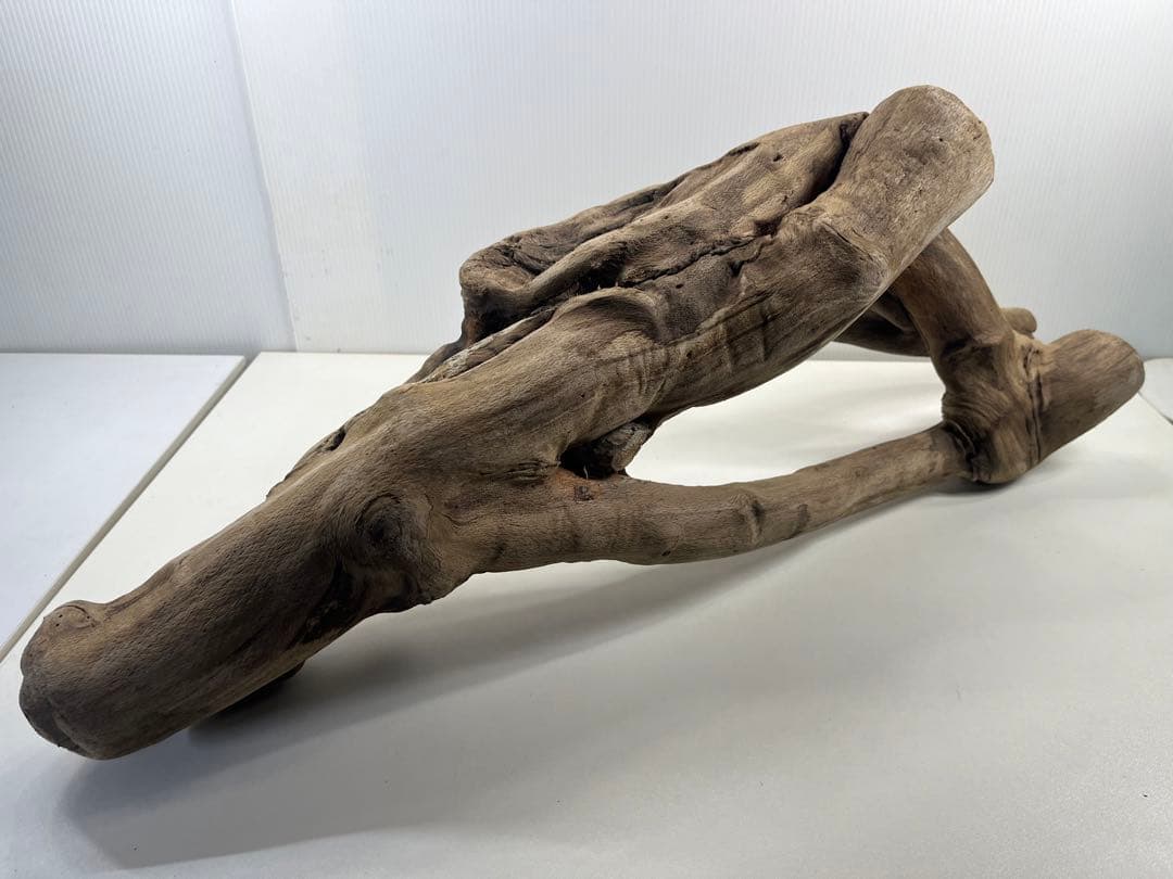 A16大型流木 アク抜き済み流木 爬虫類シェルター 登り木 インテリア 生け花