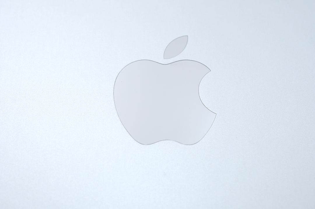 第5世代 iPad Pro 12.9インチ 256GB シルバー YA0009