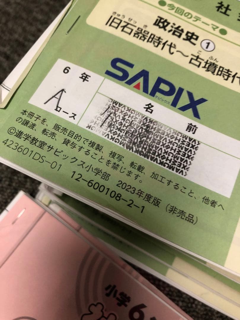 サピックス6年社会 デイリー春/夏/土特/日特/GS/夏集中　2024年受験