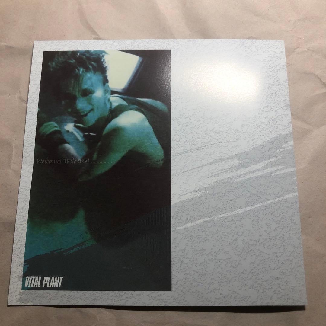 ガラGara 神楽 CD 邦パンク Sandinista!