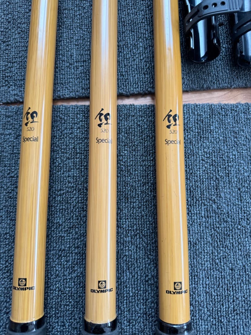 鯉スペシャル520