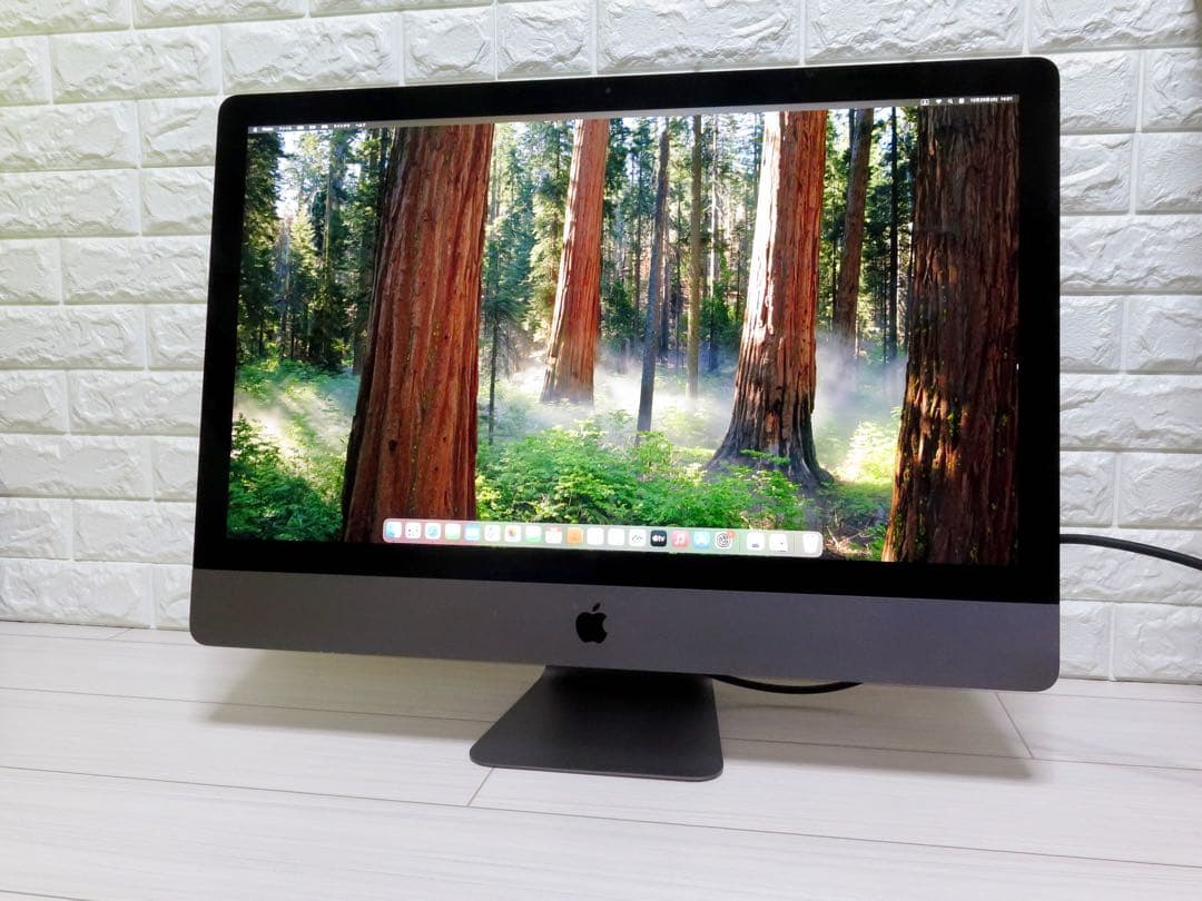 iMacPro Xeon メモリ64GB SSD1TB RadeonPro64X