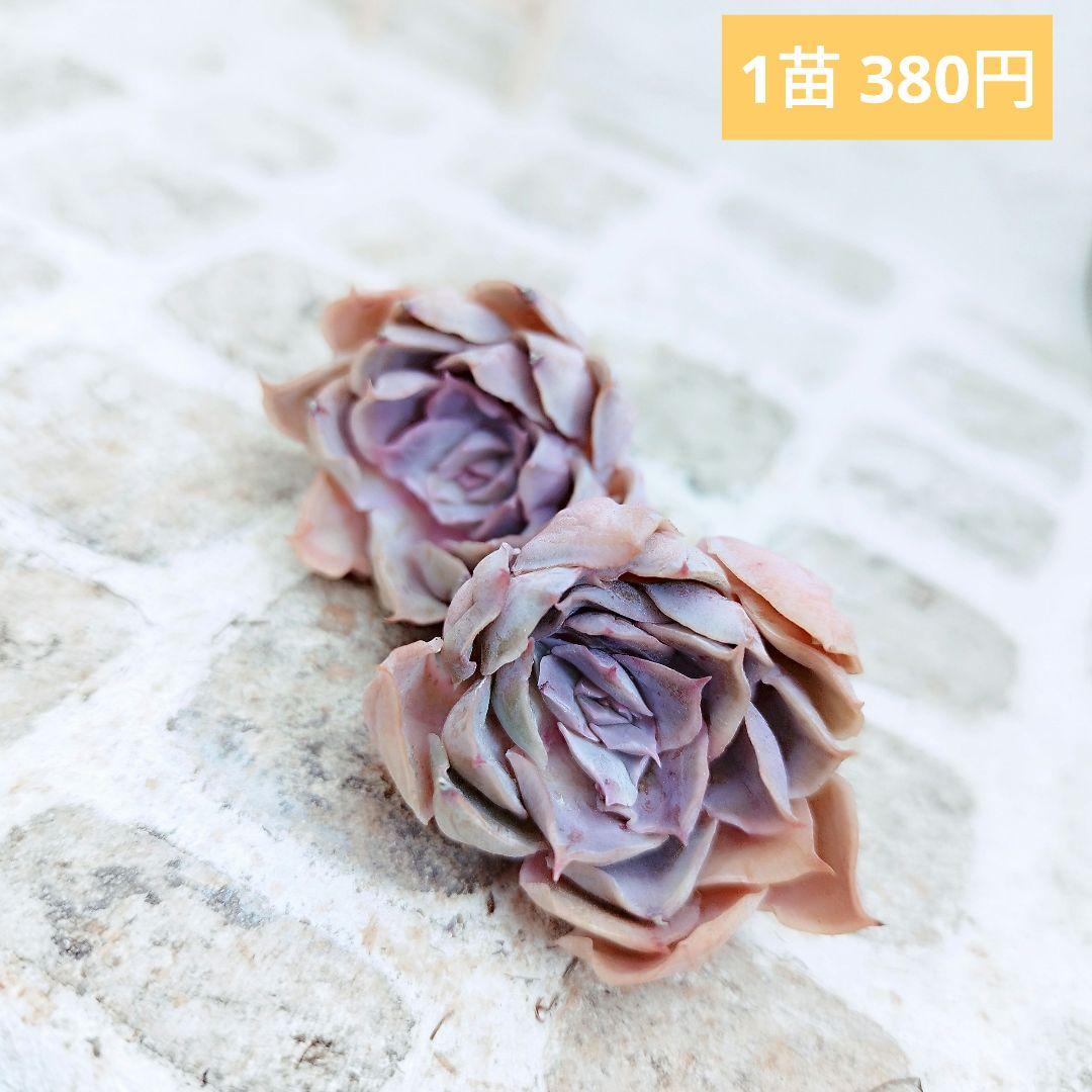 よっしー様 リクエスト 10点 まとめ商品