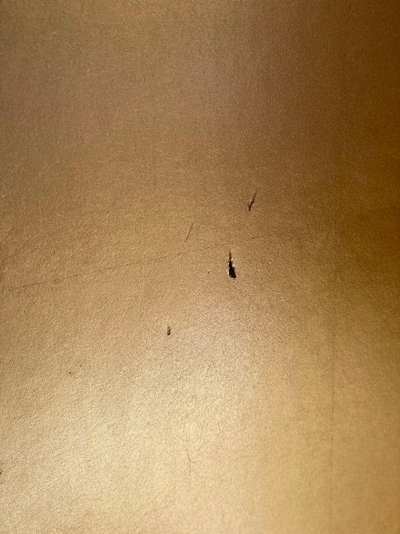 五月人形　御飾台&金屏風