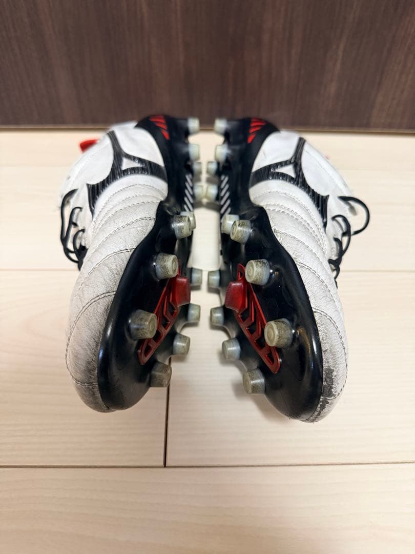 モレリアネオIII 28cm