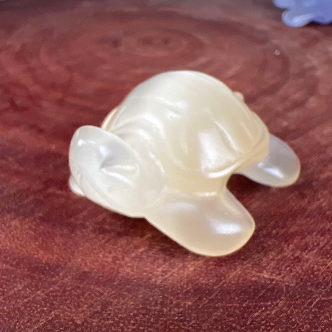 ❣️❣️❣️Aceth❤❤❤値引き不可様　シラーのかわいい亀　キャッツアイ　オレンジ