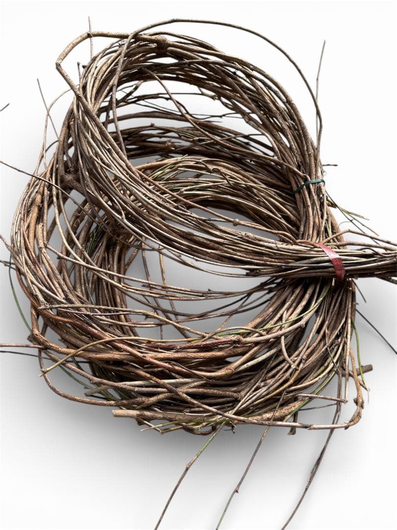 天然素材✴️ランナー 蔓✴️匍匐 つる✴️採りたて かご編み