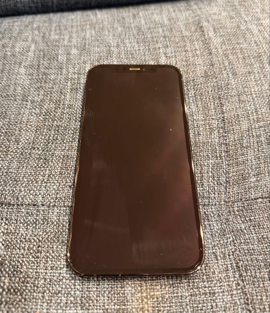 【バッテリー100%】Apple iPhone 12Pro パシフィックブルー