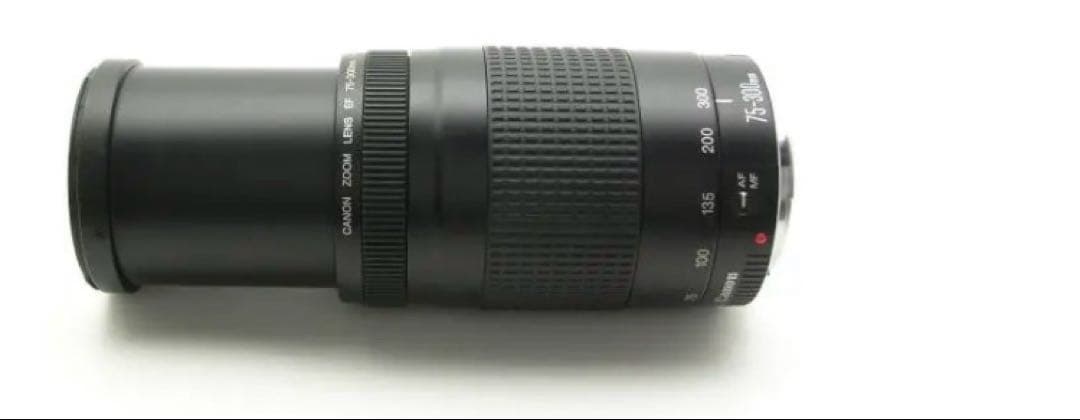 キヤノン/大迫力の300㎜/大望遠レンズ/Canon EF75-300 II
