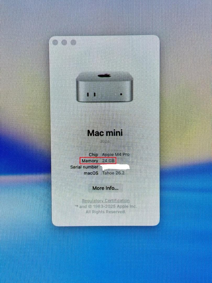 【極美品】Mac mini M4 Pro/24GB/1TB/10Gb LAN
