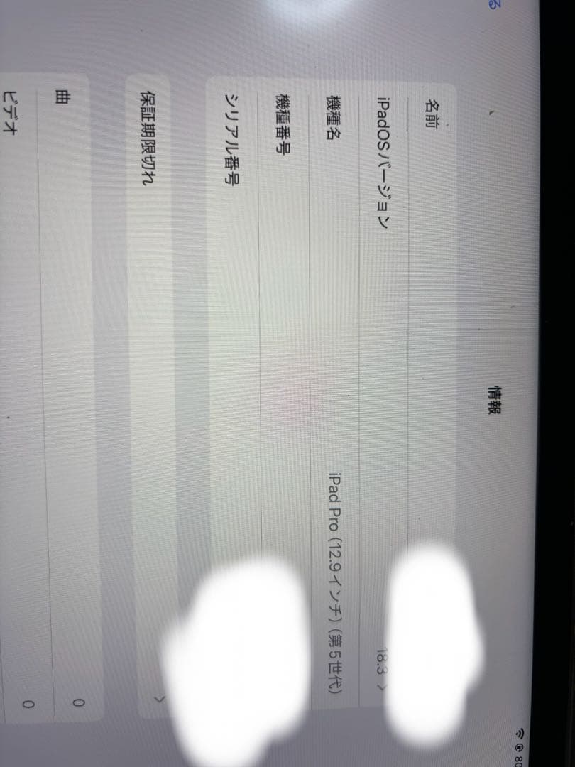 iPad本体 iPadPro