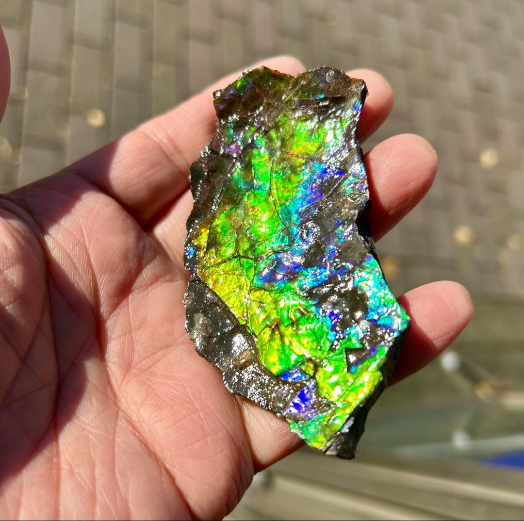 アンモライト超美品