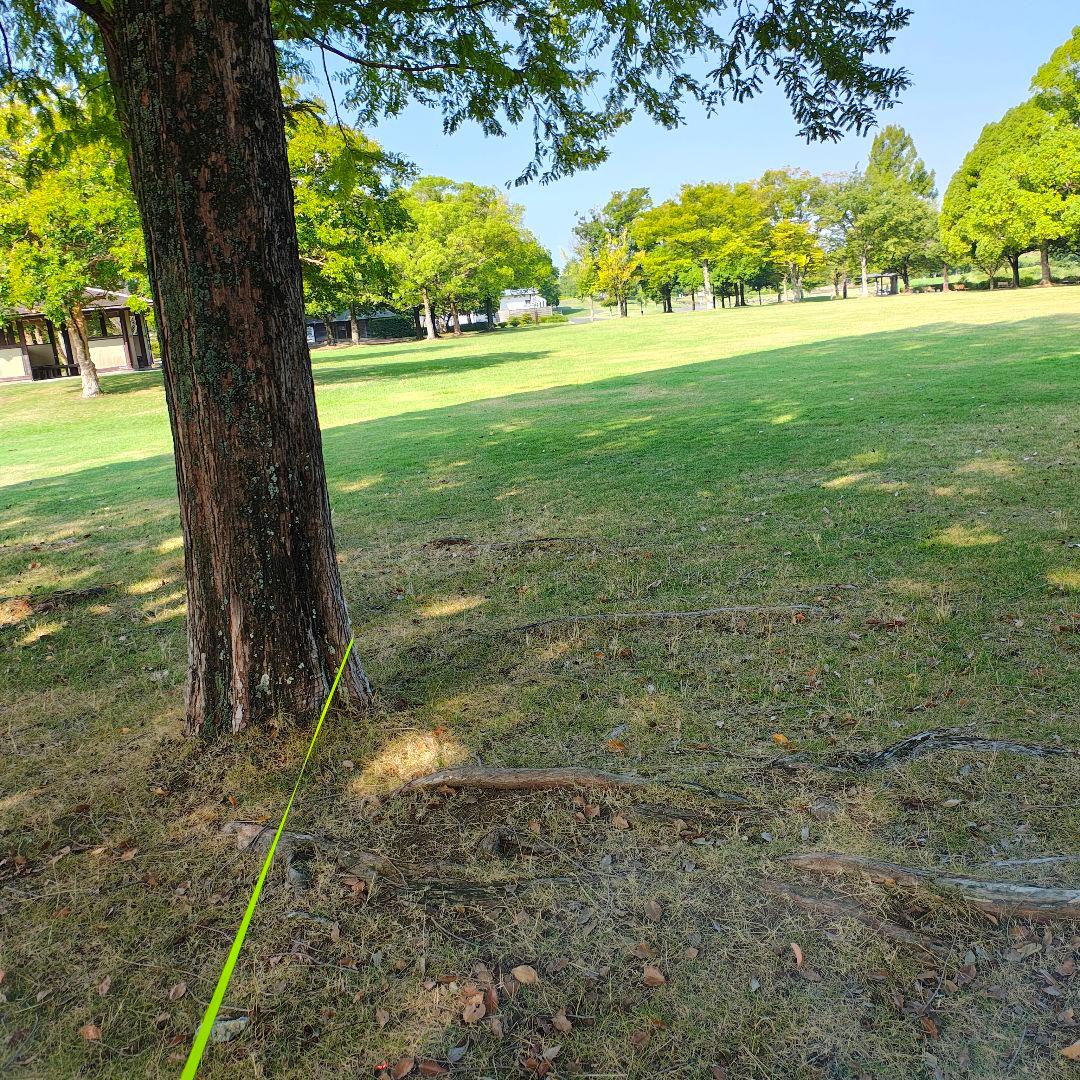 t*0様 本体のみ　訳あり破格　motorola edge 50s pro