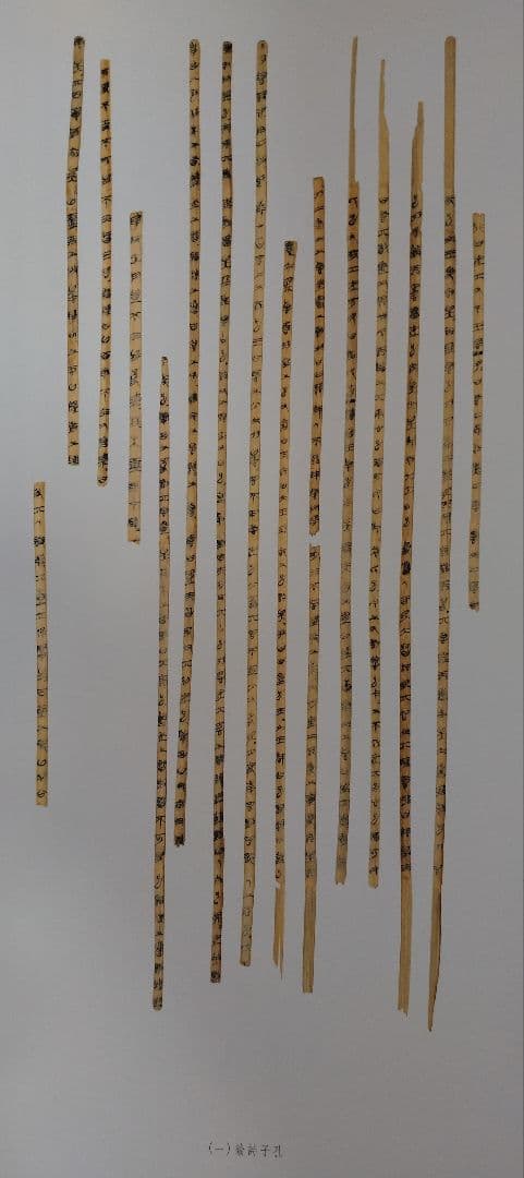 上海博物館蔵戦国楚竹書(一) 中国戦国時代 竹簡 上海古籍出版社 諸子百家