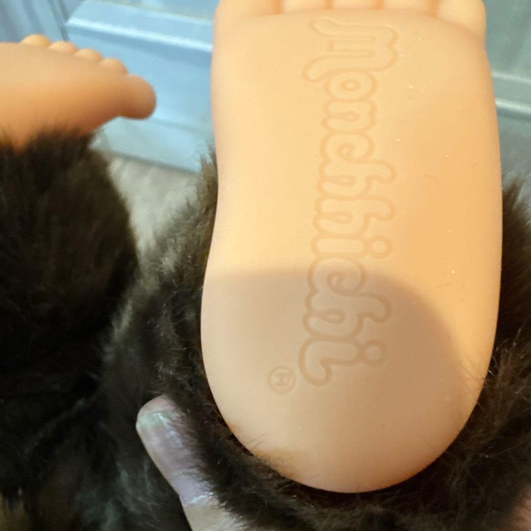 希少【新品】モンチッチ プレミアムスタンダード やわらか モンチッチＬ男の子