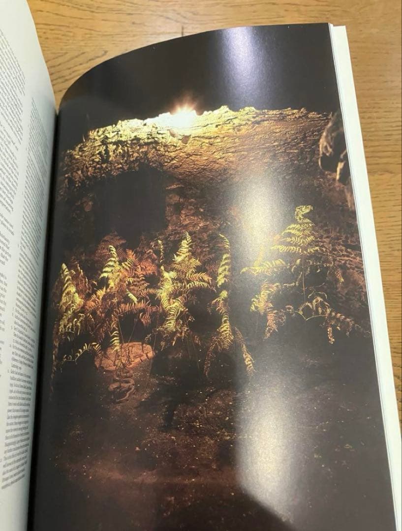 アート・デザイン・音楽 Anselm Kiefer Daniel Arasse