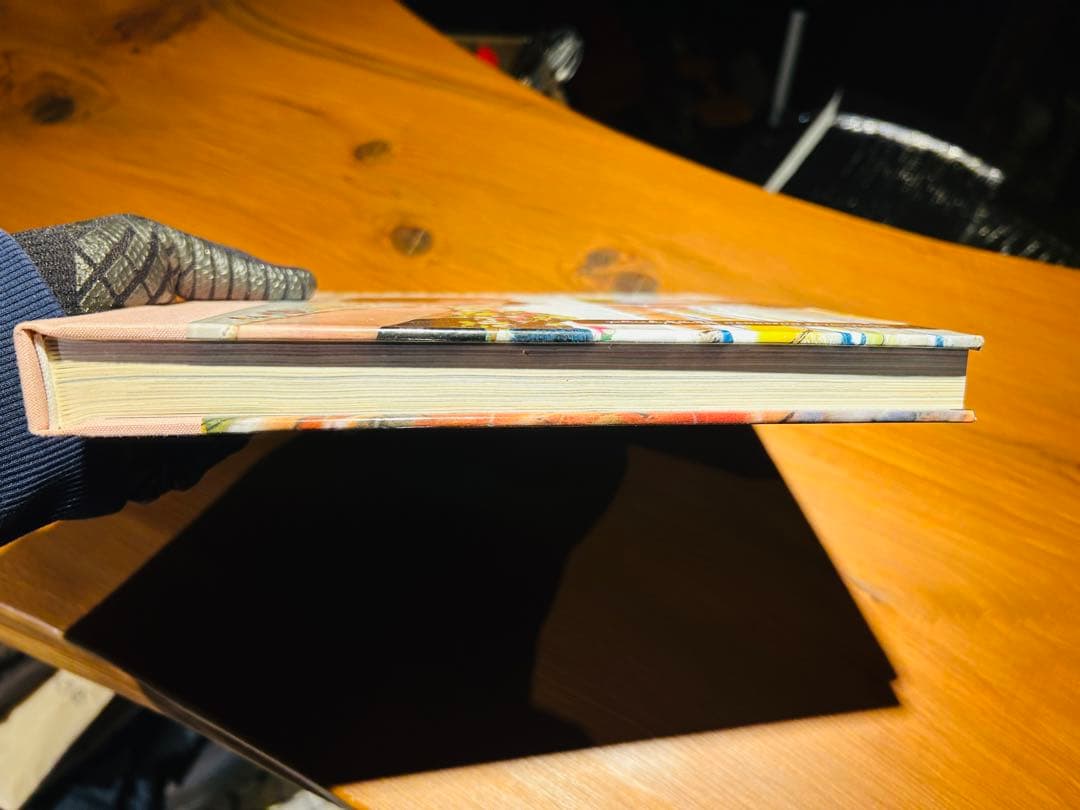 国内入手困難‼️糸紡ぎブックINTERTWINED アートヤーン　洋書　美品‼️