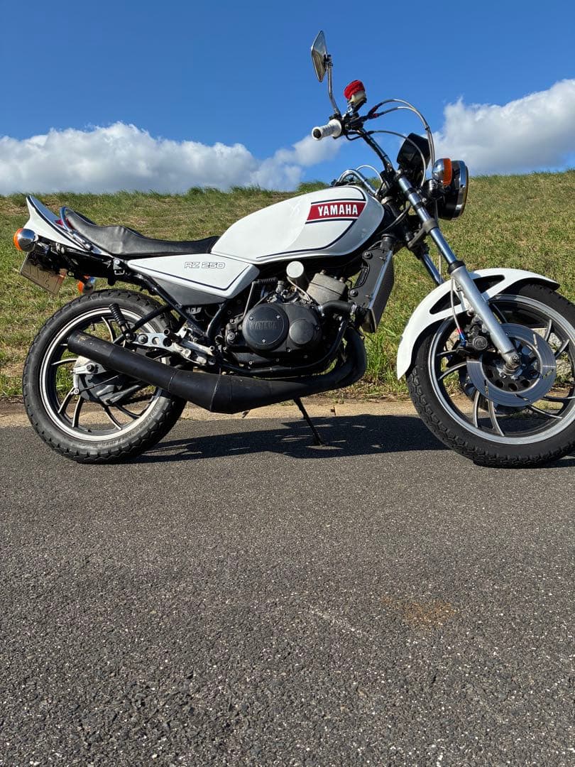ブライアンRZ250 テールカウル 社外