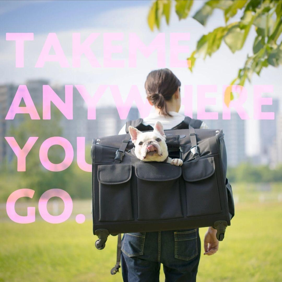 BIGサイズ ペットキャリー リュック