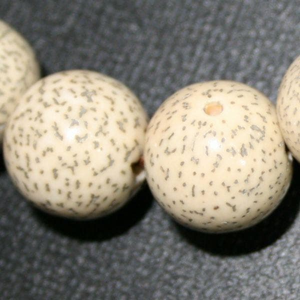 男性数珠 数珠 念珠 ★新品 桐箱付き 星月菩提樹 念珠 12ミリ