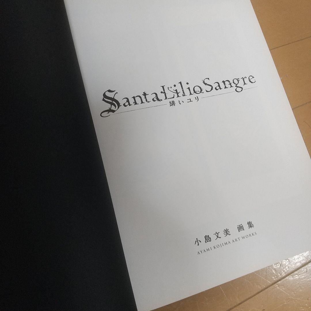 【小島文美】Santa Lilio Sangre　緋いユリ 画集