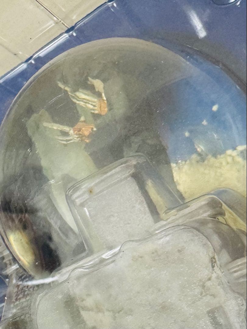 新品未使用　シザーハンズ　アニバーサリーBOX