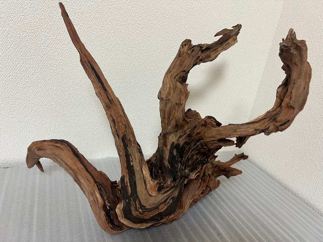 HX-079 流木　ホーンウッド　マシンガンウッド　アクアリウム　ブランチウッド