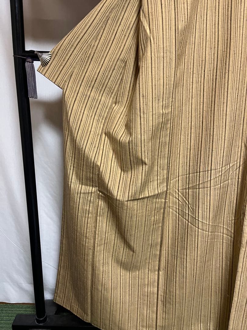 ⭐️早い者勝ち⭐️【国宝品】⭐️国指定重要無形文化財⭐️【久米島紬】⭐️手引真綿⭐️紬⭐️着物