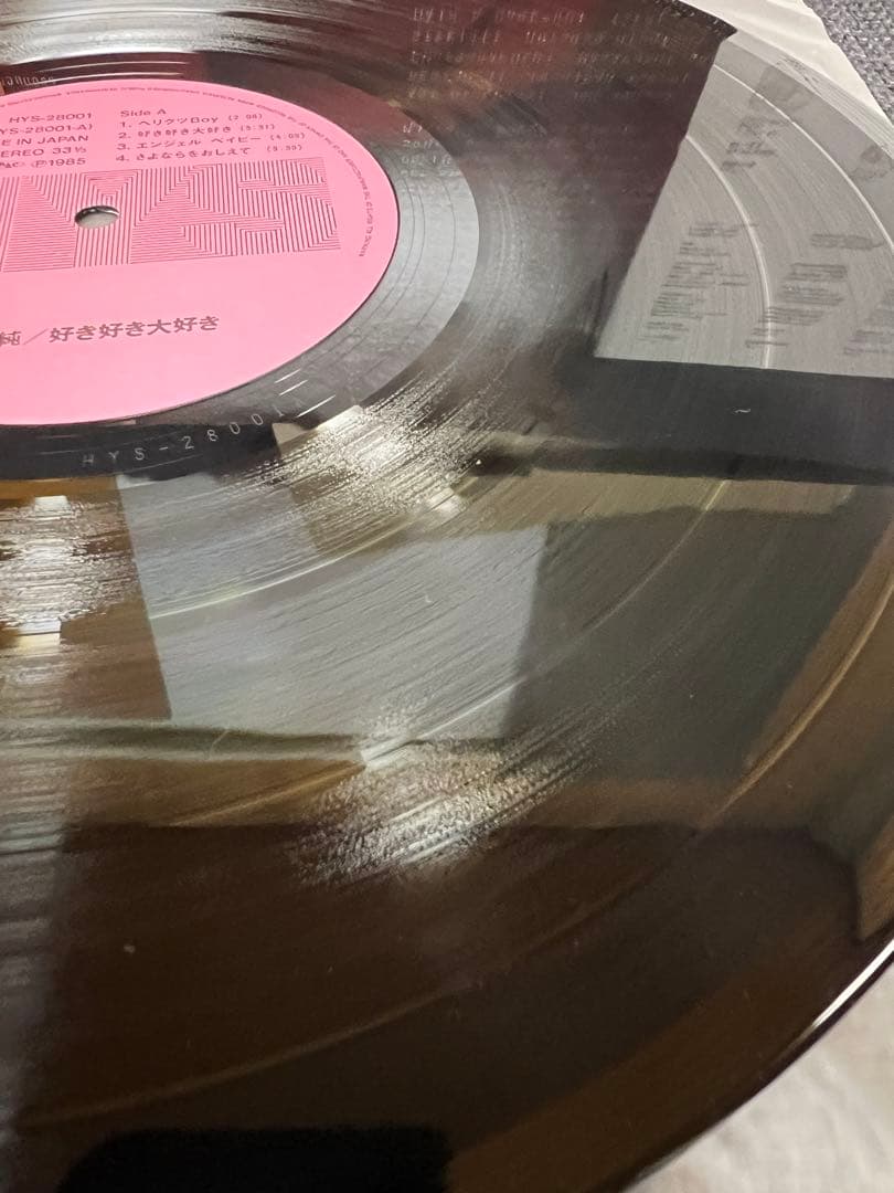 Jun Togawa – Suki Suki Daisuki LP+EP 邦楽