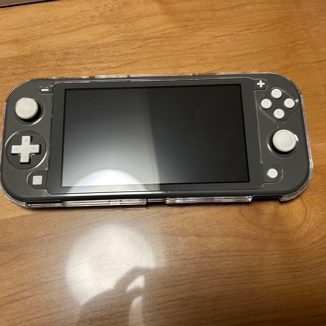 NintendoSwitchLite 本体　あつ森　& マイクラ