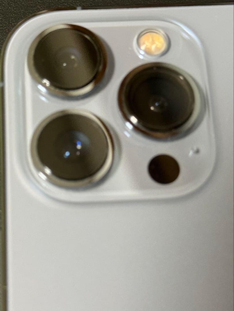 Kz’ Apple iPhone 13 Pro Max 1TBシエラブルー