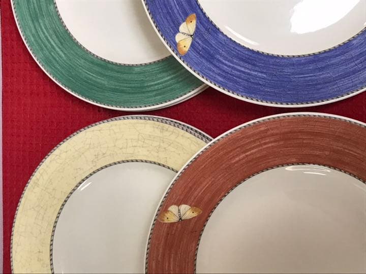 サラズガーデンプレート21cm 27cm 各6枚